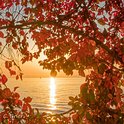 Herbst am Gardasee